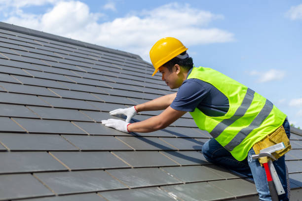 Best Sealant for Roof  in Olivet, MI