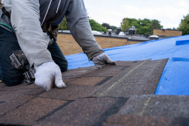 Best Best Roofing Contractors  in Olivet, MI