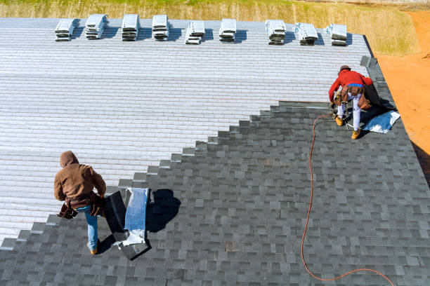Best Roof Gutter Cleaning  in Olivet, MI